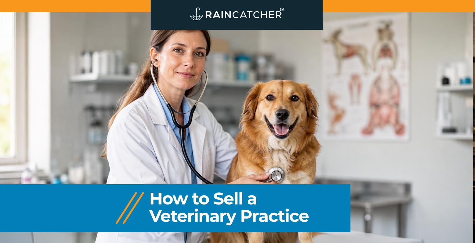 How to Sell a Veterinary Practice