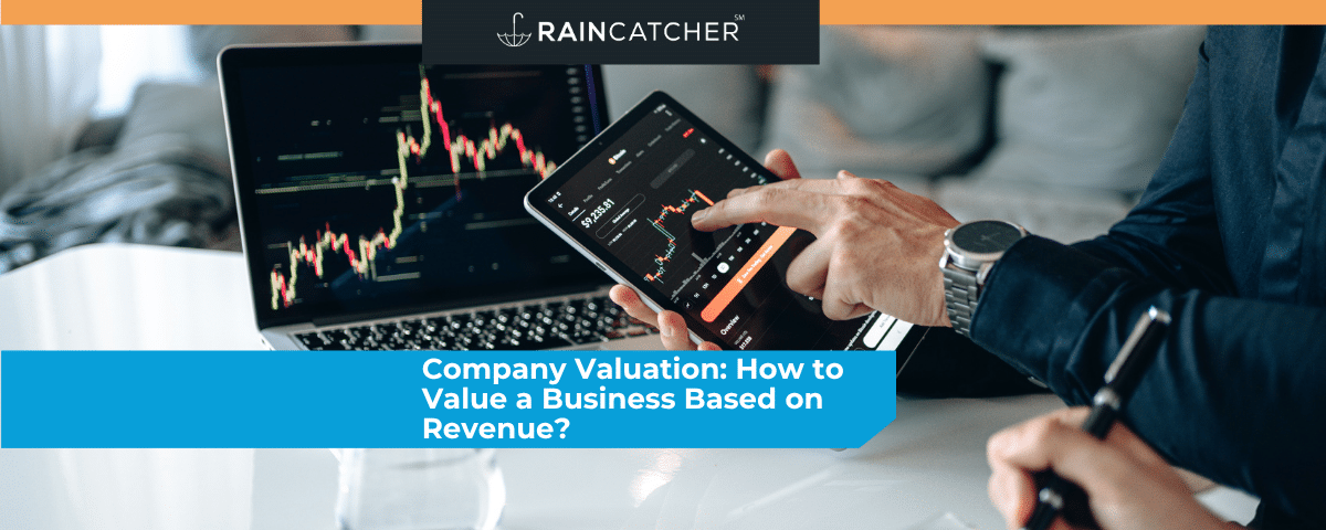 Company Valuation: How to Value a Business Based on Revenue?